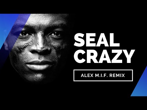 Seal - Crazy (Alex M.I.F. Remix)