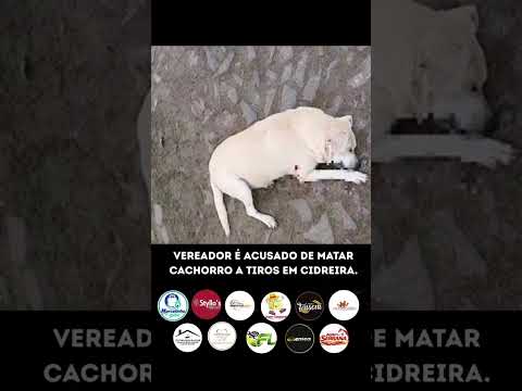 VEREADOR É ACUSADO DE MATAR CACHORRO A TIROS EM CIDREIRA Um vereador do município de Cidreira,