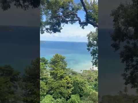 #beach #amazingshorts