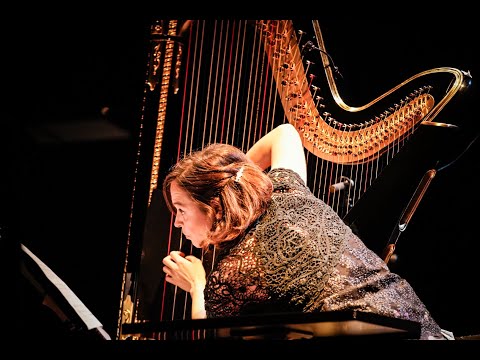 Daniela Terranova - Wood-Metal-Strings