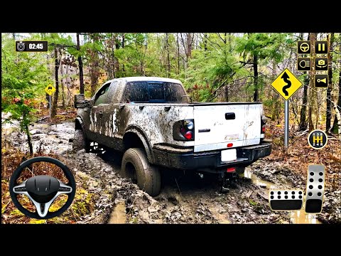 Pickup Transport Truck Driver