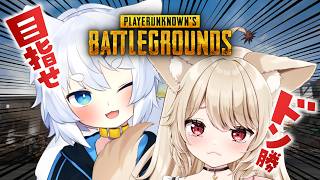 【 PUBG 】夫婦実況♡ 目指せドン勝♡ うに視点！！！！【 狼森うに / 狼森ぱすた / Vtuber 】
