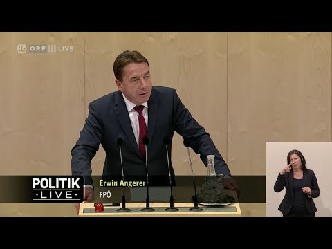Erwin Angerer - Ökostromgesetz - 25.4.2019