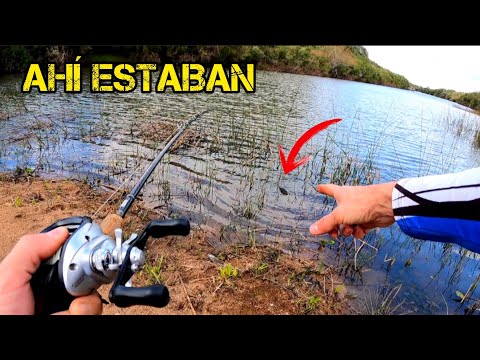 RIO SANTA LUCIA, LA PESCA ESTABA EN LA PLAYITA