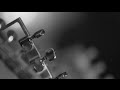 We Lost The Sea - A Gallant Gentleman - Live at ...