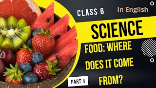 Food - Where does it come from ? | Class 6 | Part 4 | In English | Minerals, water & Roughage | Sc.