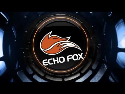 KOREA BOOTCAMP with Froggen and #LOLFOX