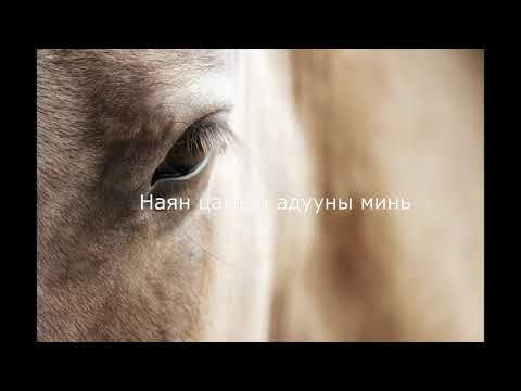 Husugtun - Jaran Tsagaan Aduu (Lyrics)/ Хөсөгтөн - Жаран Цагаан Адуу (үгтэй)