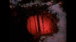 BIG FOK - Falling (Instrumental) / Night Bells (Instrumental) - 2013 - Black Lodge/White Lodge