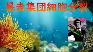 テストナイト