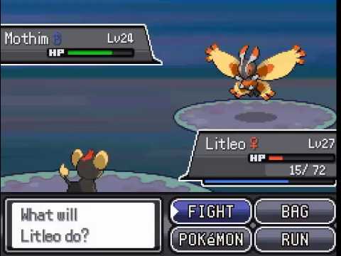Let's Play Pokemon Reborn [Episode 10: Wild Pokemon]