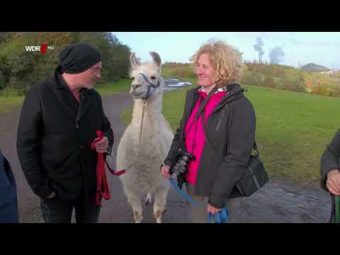 Lust auf Wandern    HD   Vom Ruhrgebiet ins Muensterland