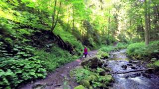 Finally Fine by Bruce Muckala &amp; Friends