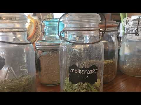 My Apothecary A-Z:  MOTHERWORT  The HEART Herb