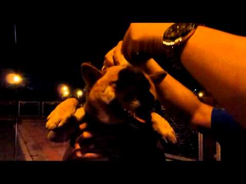 惡整(原發表者:台中小賴)(影片)