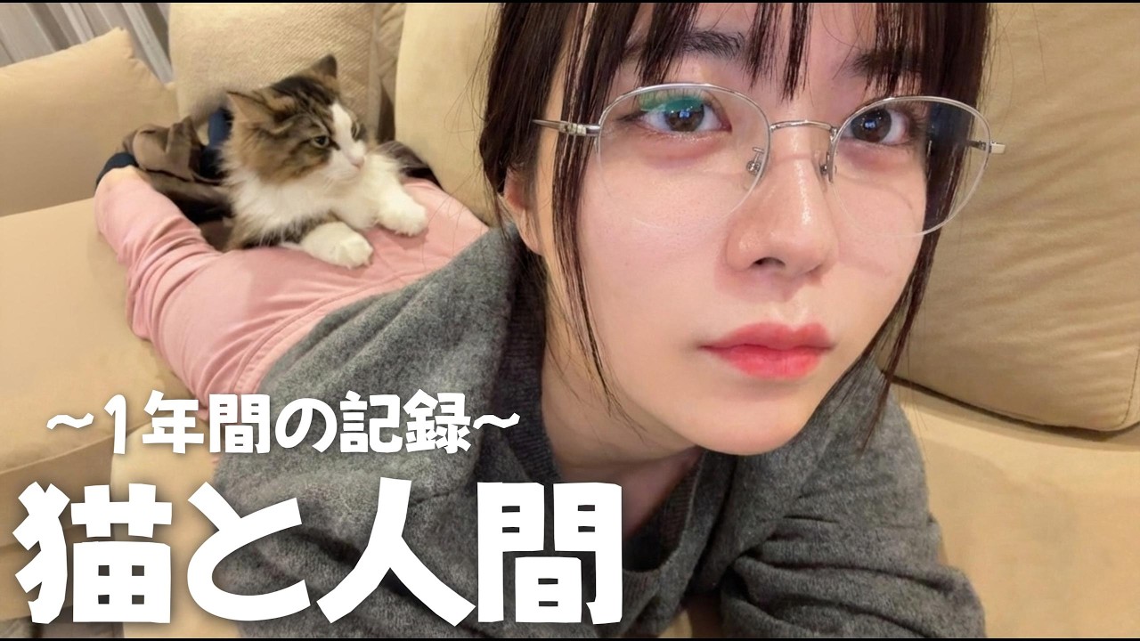 猫の尻に敷かれた【一年間の記録】