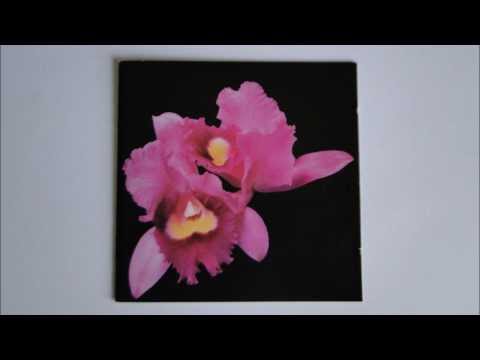 Opeth - Under the Weeping Moon