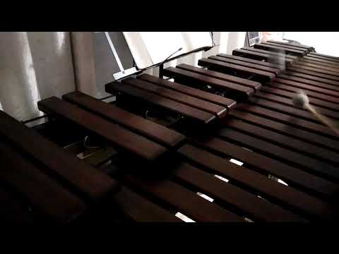 Inni di lode N°258: Noi siam seguaci di Gesù Marimba Cover