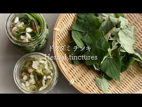 虫刺されに効く薬用植物 トピックス