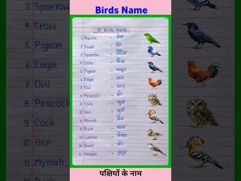 15 birds name in english and hindi | birds name | पक्षियों के नाम | 15 birds name in english #shorts