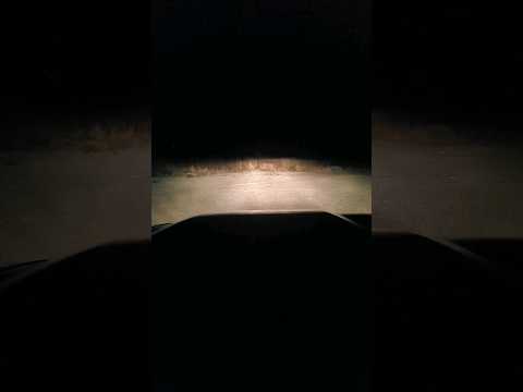 Showing off my Rigid and Nacho LED lights on my truck.