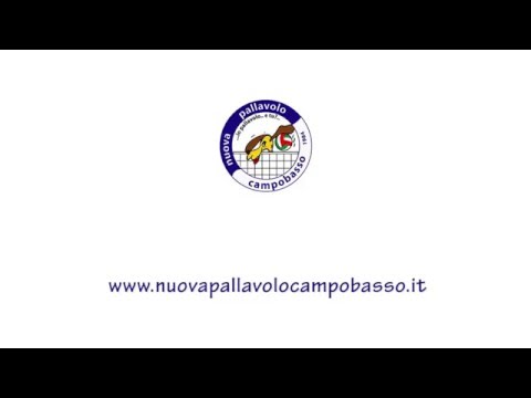 Un tuffo nella Nuova Pallavolo Campobasso!