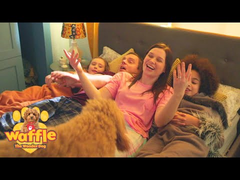 Waffle The Wonder Dog Needs His Walkies! | Full Episode Fun Compilation For Kids | WildBrain Zigzag