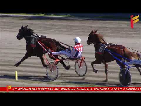 II Corsa del 25 marzo 2023 - 4 Anni - Metri 1600 - Reclamare