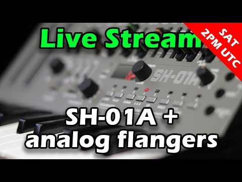ranzee Live Stream #14 - Roland SH-01A and analog flangers