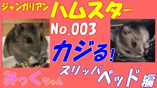 ハムスター カジる スリッパベッド編