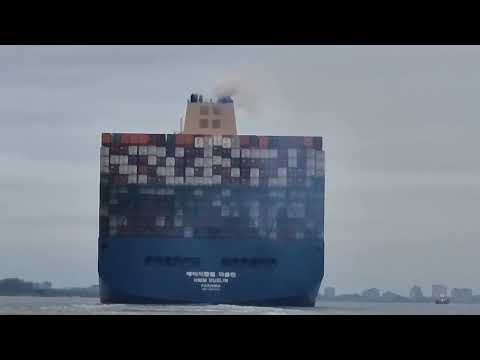 Shipspotting Antwerp Belgium! Impressive Cargo Ships Compilation 2023!
