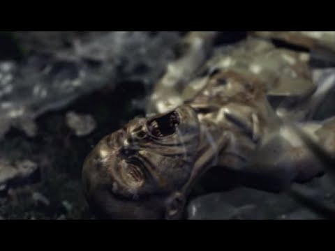 Resident Evil: Outbreak File #2 (PCSX2) - Flashback WALKTHROUGH [Normal] w/Alyssa