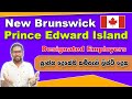 Designated Employers New Brunswick Prince Edward Island AIP 2022 Company List SL TO UK