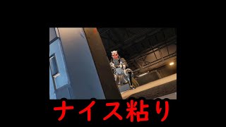 【ショートapex】ナイス仲間 #Shorts
