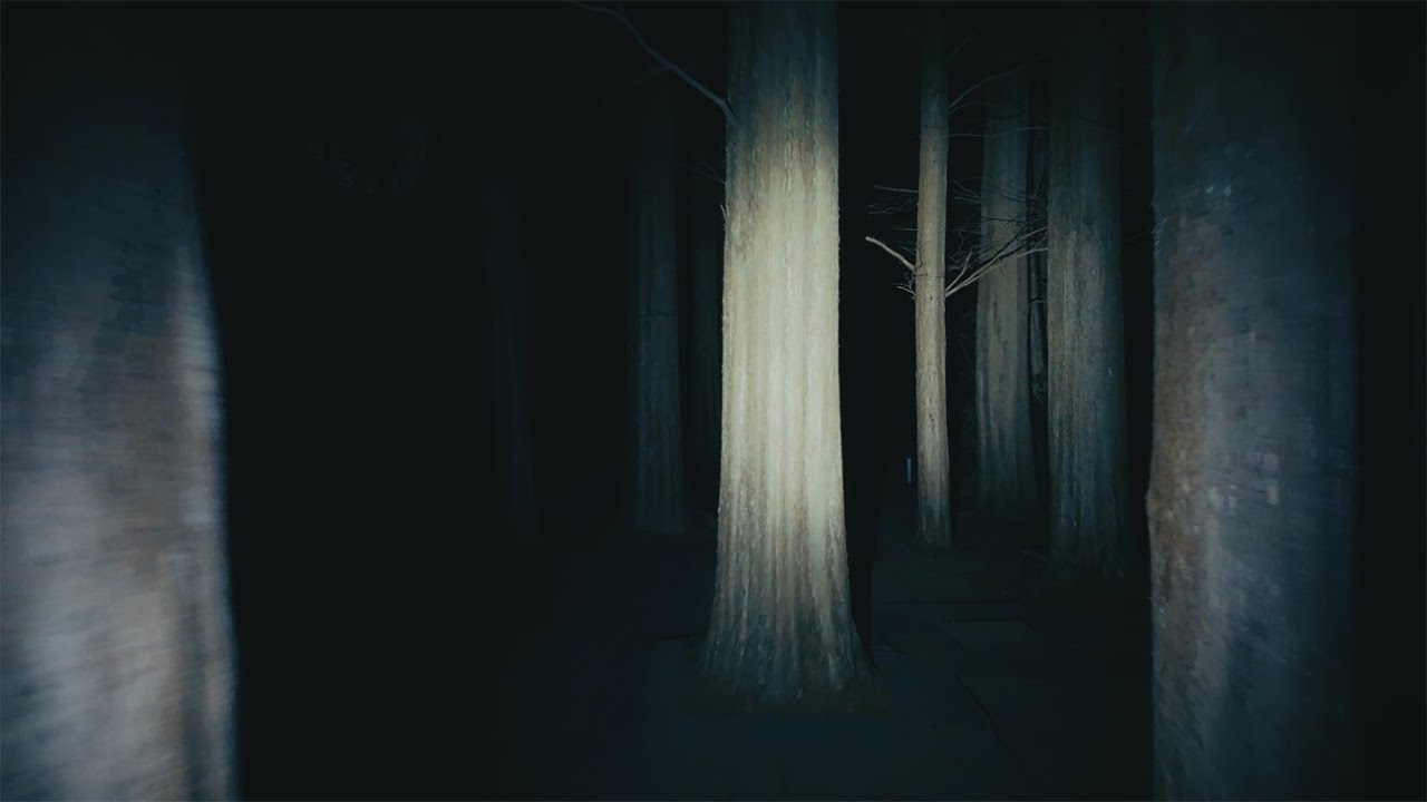 Quiet Midnight in Tokyo | Pitch-Dark Forest & Empty Streets