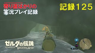 【寄り道ばかりの】ゼルダの伝説BotW【実況プレイ記録125】ヘブラ山脈を巡る