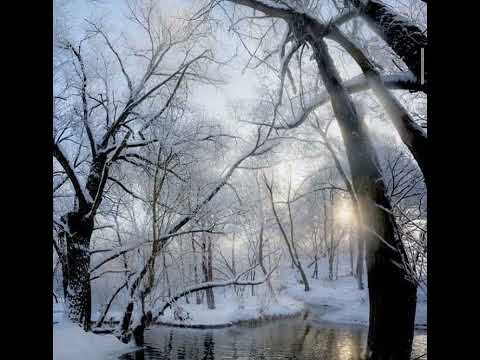 SOL FANETO X DARTH ROACH - SPINE REMIXXX [[PROD. SPACEGHOSTPURRP AKA VAMP MONEY]] 432hz