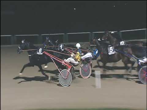 Trotto 29/10/2019 - 6ª corsa