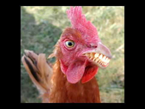 oAleexandre’s Video 103484850447 ClaTcg2Wufk