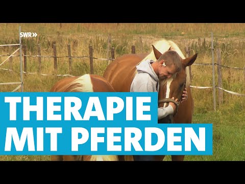 Drogenfrei mit naturgestützter Suchttherapie mit Pferden | SWR Heimat - Menschen in Rheinland-Pfalz