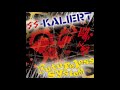 SS-Kaliert / Futureless System - Fight Back! / 闘争反撃  Split CD - 2008 (Full Album)