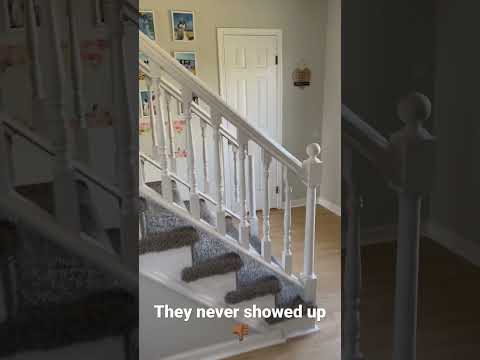 Dazzling Cleaning Legit