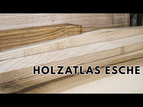 Kontrastreich und schön - Eschenholz im Porträt