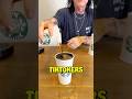 Tiktok Starbuck Scam Exposed