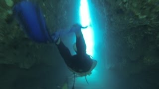 preview picture of video 'Buceo Bocas del Toro'