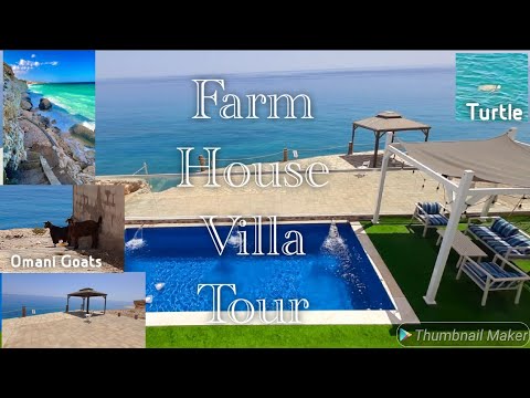 Farm House Villa Tour | Last Day of Tiwi | Turtle 🐢 | Goats of Oman (Part 4)