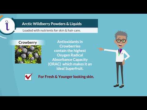 IntegriMAN Lower North Shore 11 5 19