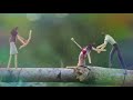 Picture Msg For Whatsapp Whatsapp Status Video Whatsapp Mp4