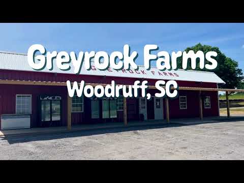 New playground, baby cows, and strawberries? YES, please!: Greyrock Farm in Woodruff, SC