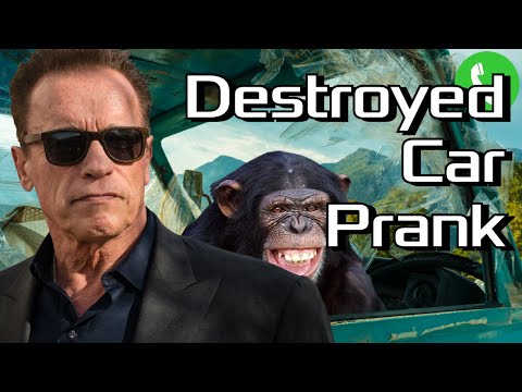 Apes Destroy Arnold's Car - Prank Call